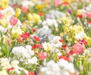 もっと自分らしくもっと自由に生きるサポートをします お話を聞いて、もっとあなたらしく輝くお手伝いをします。 イメージ7
