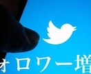 Xの成人男性&女性フォロワー増加ます X(Twitter)成人男性&女性アカウントを1か月拡散 イメージ1