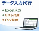 Excelデータ入力・CSV整理を丁寧に代行します 正確で丁寧にExcel入力対応します イメージ1