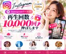 インスタリール再生回数10,000回伸ばします 30日間保証付き｜即日対応｜Reels/IGTV/動画に対応 イメージ1