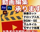 動画編集します スピード編集ｌ高品質な動画を約束します！ イメージ1