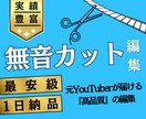 翌日納品！『無音カット』を低単価+高品質で承ります 【元YouTuberが届ける高品質カット】 イメージ1