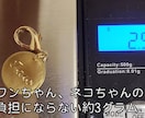 大切な犬猫用　手彫り真鍮製迷子札を作成します 超硬タガネという、金属用の彫刻刀で美しい彫跡になります イメージ7