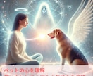ペットと飼い主様の心の絆を深めます 霊感霊視×七占術でペットと飼い主様の心に癒しを！ イメージ2