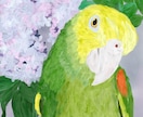 動物(リアル・キャラ両方可能)のイラスト描きます Webサイト用イラストやTwitterのアイコンに イメージ4