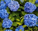 マッチングアプリの必勝法教えます 実りあるマッチングアプリでの婚活について共有いたします。 イメージ1
