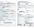 高品質な日本政策金融公庫の創業計画書を作成します 資金調達累計額1億円を超えるコンサルタントが創業計画書を作成 イメージ4