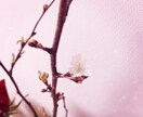 恋愛の事。人間関係の事など。占います あなたのお悩みに寄り添います。お気軽にどうぞ。 イメージ1