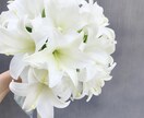 男性でも女性でもお話したい方お待ちしてます 誰かとお話したい方・聞いて欲しいことがある方お待ちしてます！ イメージ1
