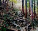あなたの代わりに行ってきます 外出が難しい方の代わりに行ってきます！ イメージ7