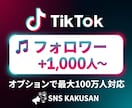 TikTokフォロワー「1000人」手配します ⭐️ライブ配信や収益化の条件クリアに！圧倒的拡散で成長支援 イメージ1