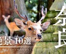 動画編集を承ります 大手動画編集スクール卒業生が担当します イメージ5