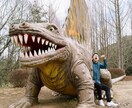 東京　中判フィルムで空気感ごと残る1枚を撮影します フィルム10枚＋デジタル無制限であなたの魅力をしっかり撮影！ イメージ2