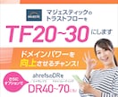 MajesticのTFを20～30以上にします ドメインパワーをトップサイトと同じレベルに イメージ1