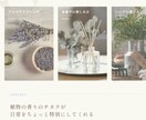 ワードプレスでアフィリエイトブログ制作いたします 初心者さんを応援！全力サポートします。 イメージ4