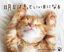 あなたのモヤモヤした辛い気持ち聞きます 今は辛いけど、一歩踏み出して幸せの階段を‼︎ イメージ1