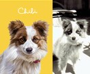 うちの子・ペットの似顔絵イラストを制作します 犬・猫・ペット全般｜こんな写真しかないんですけど…にも対応可 イメージ2