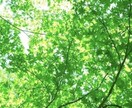 まずはお試し感覚で♪あなたのお話聴きます 優しい声で丁寧にあなたのお話に寄り添います イメージ1