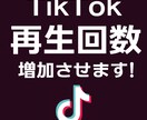 TikTok再生回数3000回増加します ご注文いただいた数より多めに増加させます！ イメージ8