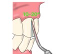 歯科イラスト描きます 歯科医師が専門知識を生かしたイラストを丁寧に描きます。 イメージ1