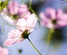 テキスト鑑定、そのお悩みに寄り添います 一人で悩むは堂々巡り！意識ひとつで状況好転 イメージ4