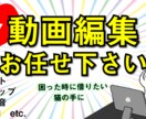 Youtube動画の編集代行します Youtube経験から依頼者の気持ちに寄り添って作ります! イメージ1