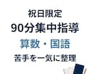 元小学校教諭が算数国語を祝日に90分集中指導します 祝日を使って苦手を一気に整理します イメージ2