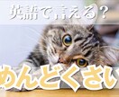 シンプルなサムネイル作ります スッキリ！オシャレなデザインをお作りします イメージ3