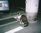コロナ感染経験者が相談乗ります 先日、コロナウイルスに感染しました。相談に乗ります。 イメージ1