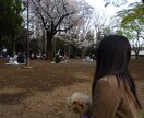 人生や人間関係の方向性を整理するお手伝いをします なかなか整理できない心のモヤモヤ、ゆっくり紐解いてみませんか イメージ1
