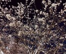 お悩みを解決してあなたを笑顔にします！ます 恋愛・仕事お悩みのとを話してみませんか？ イメージ1