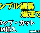 即納OK】カットテロップ込み！格安動画編集します ゆっくりやVOICEVOXを使った動画も可能！ イメージ2