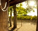 タロットで《前世からのメッセージ》をお届けします ｜魂の学びと、今の悩みを癒やすヒント☆ イメージ8