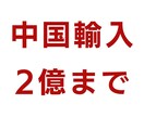 現役販売中２億円【中国輸入・EC運営の相談】ます 9年の実績を活かした仕組み作りと売上作り イメージ8