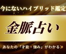あなたの金脈(才能・強み)を占います お金の不安を「希望」に変えるパーソナル鑑定 イメージ1