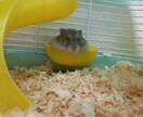 あなたの愚痴、相談聞きます イメージ1