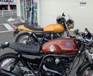 お話を聴くお相手ができます 心のデトックスをしてみませんか。 イメージ2