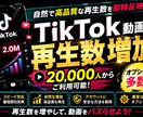 TikTok動画の再生回数を【2万回】増やします ★新規出店９月まで限定特別応援価格！複数動画への振分もOK イメージ7