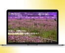 web集客の第１歩となるHPを制作いたします ☆企業案件実績多数☆修正無制限☆安心のアフターサポート イメージ5