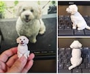 愛犬愛猫のオーダーメイド3Dフィギュアを制作します 写真から息づくような立体へ　驚きのコスパでの至高のメモリアル イメージ8