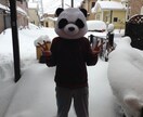 パンダと妄想話で盛り上がりましょうパンダ イメージ1