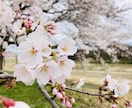 自然寄りの暮らしって実際どう？お話しします のんびり暮らしのリアル、お話しします イメージ3