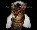 猫のオラクルカードでメッセージを届けます ネコ世界から届く愛と癒やしのスピリットメッセージ イメージ8
