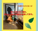 お気軽に❁あなたの心を優しく受け止めます あなたの誰にも言えない悩み、安心して話せる場所です。 イメージ3