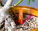 植物用ネームプレート・名札をつくります 色や形がえらべる！オリジナルデザインも対応可 イメージ1