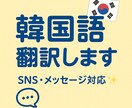 韓国語の翻訳や会話のお手伝いします 初心者大歓迎！韓国語のやりとりサポートします イメージ1