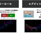 完全無裁量の独自手法を特別に教えます 負債を抱えたトレーダーが専業になれた手法 イメージ2
