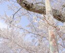 アイコン用や壁紙、広告用写真撮れます 風景、季節物等のエモい写真お撮りします。 イメージ2