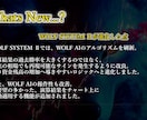 人気サインツールWOLF SYSTEMⅡ提供します 高性能AIが最適なパラメータ設定を提供！バイナリーオプション イメージ7