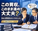 買収前セカンドオピニオンを提供します M&A買収前の価格・財務・進め方の不安を整理します イメージ1